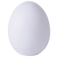 Self Color Changing Egg