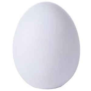 Self Color Changing Egg