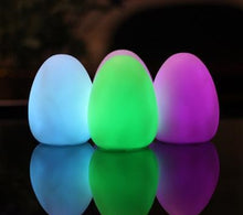 Self Color Changing Egg