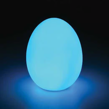 Self Color Changing Egg
