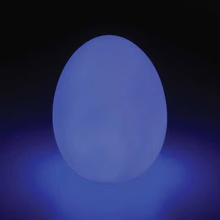 Self Color Changing Egg