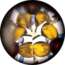 Kaleidoscope Necklace Buttefly