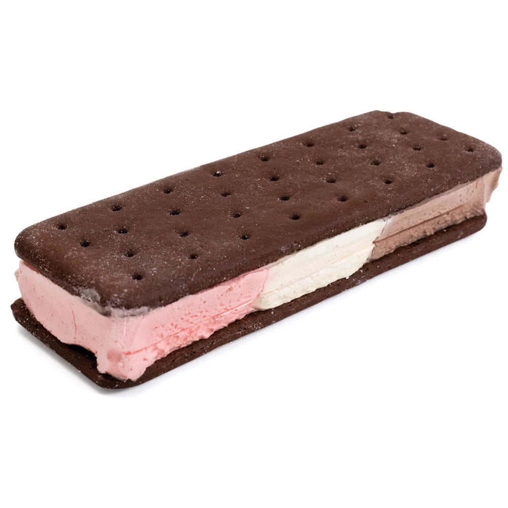 Astronaout Ice Cream Sandwich Neapolitan