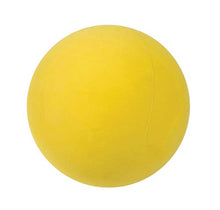 Spring Ring Outdoor Paddle Ball Play Set