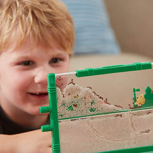 Ant Farm Live Ant Habitat