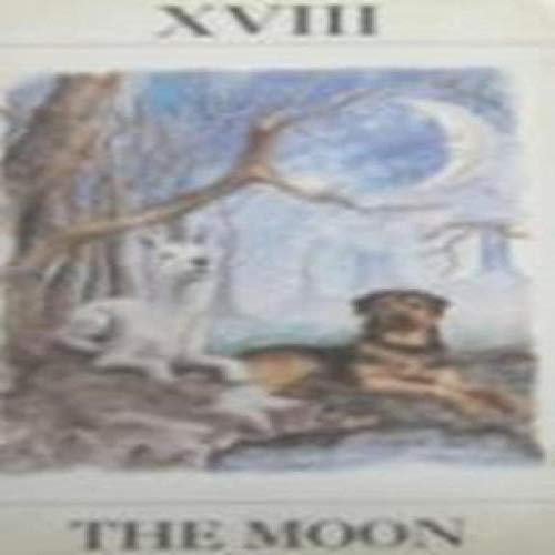 Moon Fortune Teller Card