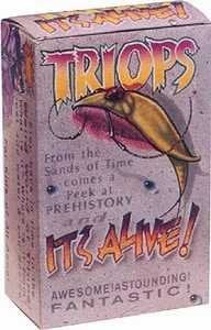 TRIOPS - Grow Live