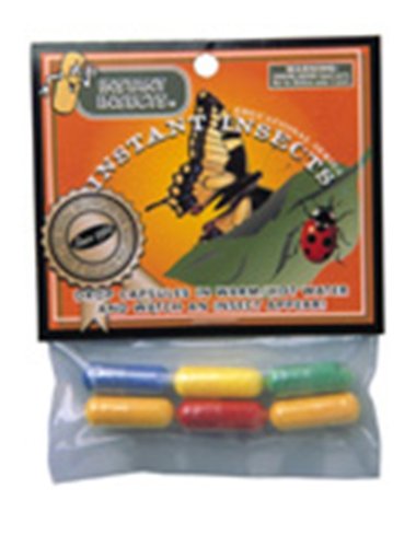 Instant Grow Insects Set of 3