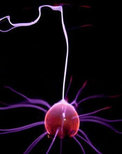 Plasma Ball With Neon Ring
