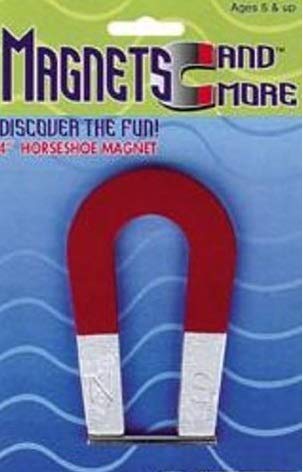 Horseshoe Magnet