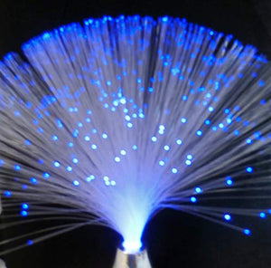 Mini Fiber Optic Light