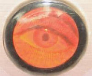 3D Eye Flicker Magnet