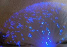 Mini Fiber Optic Light