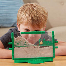 Ant Farm Live Ant Habitat
