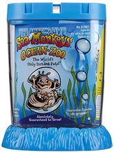 Sea Monkeys