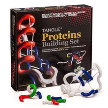 Tangle Protein Building Set