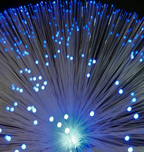 Mini Fiber Optic Light