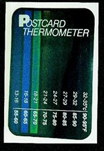 Thermometer Postcard