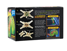The Original Slinky Brand Light Up Slinky