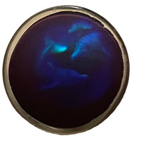 Hologram Lapel Pin Dolphins